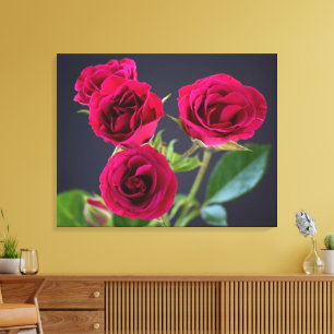 Romance omgepakt Canvas Afdruk