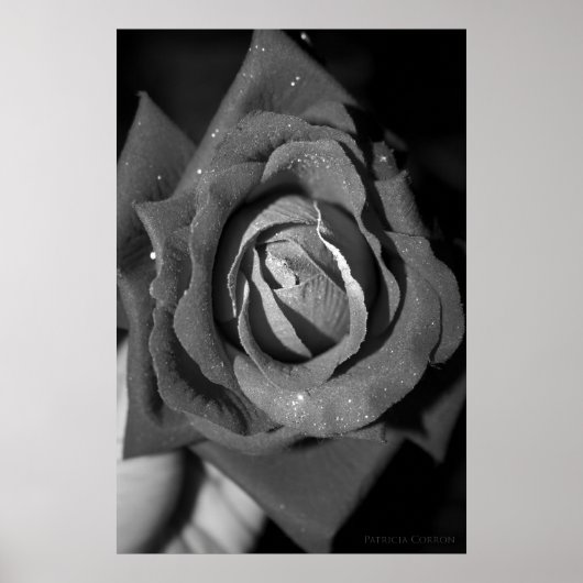 Romance Poster (Voorkant)