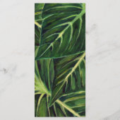 Romance tropicale / Programme (Dos)