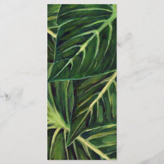 Romance tropicale / Programme (Dos)