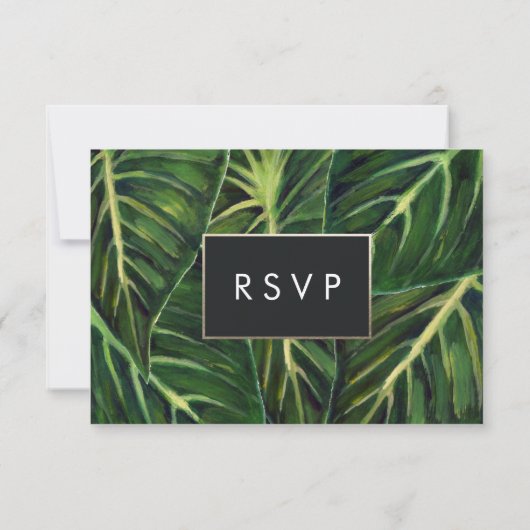 Romance tropicale / RSVP (Dos)