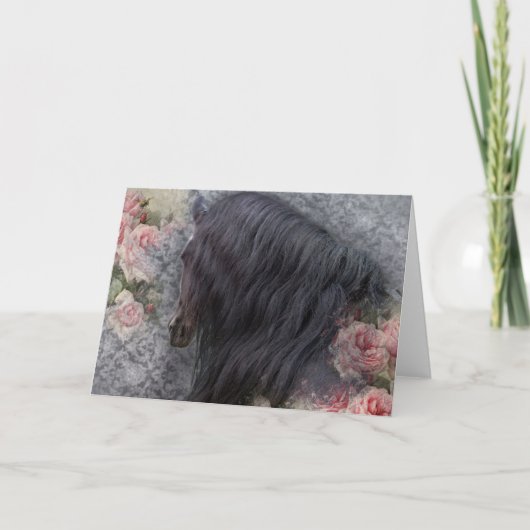 Romancer Le Cheval ~ Cartes De Voeux (Devant)