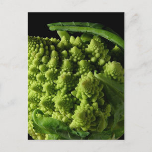 Romanesco Broccoli Fractals Briefkaart