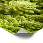Romanesco broccoli plant sluiting poster (Hoek)