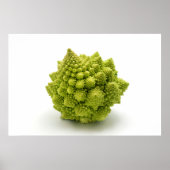 Romanesco broccoli poster (Voorkant)