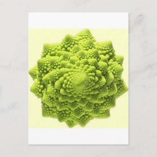 romanesco-phi briefkaart (Voorkant)
