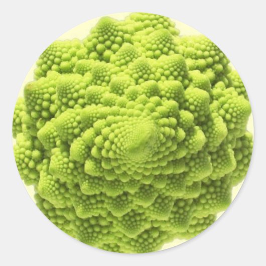 Romanesco-Phi Ronde Sticker (Voorkant)