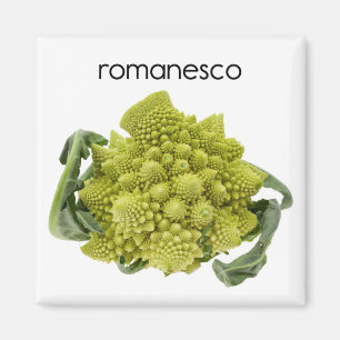 Romanesco Refkoelkast Magnet Magneet