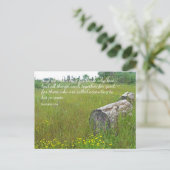 Romans 8:28 Carte postale Tranquille (Debout devant)