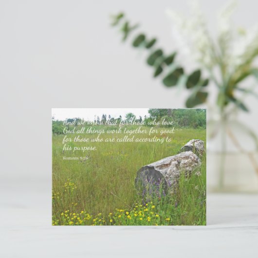Romans 8:28 Carte postale Tranquille (Debout devant)