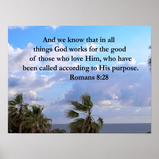 ROMANS INSPIREREN 8:28 POSTER (Voorkant)