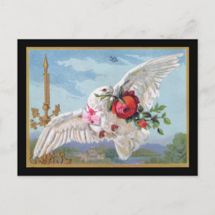 Romantic Dove Briefkaart