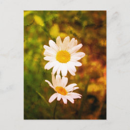 Romantic Flowers – Botanical Daisy Сouple Briefkaart
