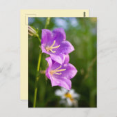 Romantic Flowers – Botanical Fantasy Boho Briefkaart (Voorkant / Achterkant)