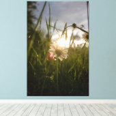 Romantic Flowers – Botanical Fantasy Daisy Canvas Afdruk (Insitu (Houten vloer))