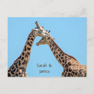 Romantic Giraffe Hugs Persoonlijk Briefkaart