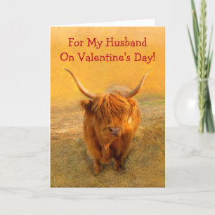 Romantic Husband Highland Steer Valentijns Holida Feestdagen Kaart