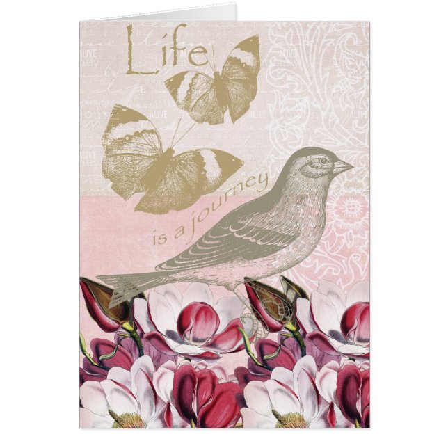 Romantic Magnolias (Voorkant)