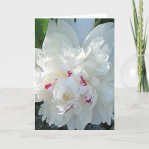 Romantic Peony Greeting en/of Note Card Kaart