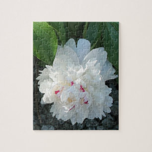 Romantic Peony Puzzle Legpuzzel