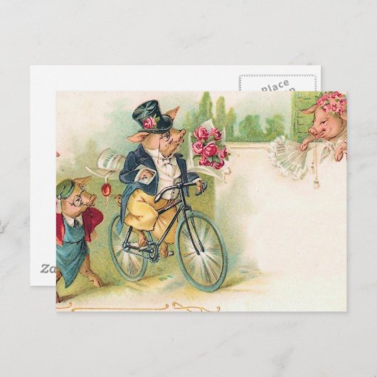 Romantic Pigs Briefkaart (Voorkant / Achterkant)