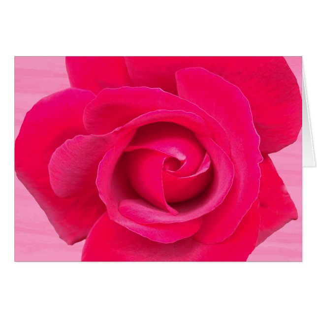 Romantic Red Pink Rose (Voorkant Horizontaal)