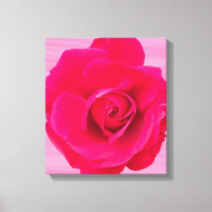 Romantic Red Pink Rose v2 Canvas Afdruk