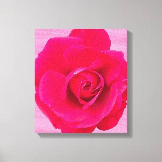 Romantic Red Pink Rose v2 Canvas Afdruk (Voorkant)