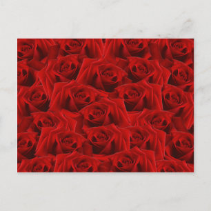 Romantic Red Rose Briefkaart