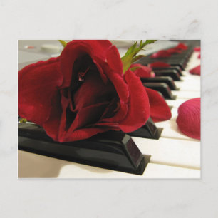 Romantic Red Rose Love Briefkaart
