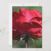 Romantic Red Rose Wedding Kaart (Achterkant)