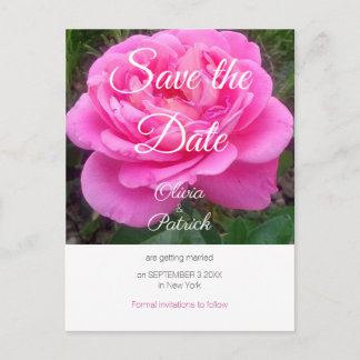 Romantic Roze bruiloft Bewaar de datum Briefkaart