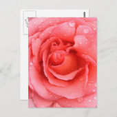 Romantic Roze druppels water Briefkaart (Voorkant / Achterkant)