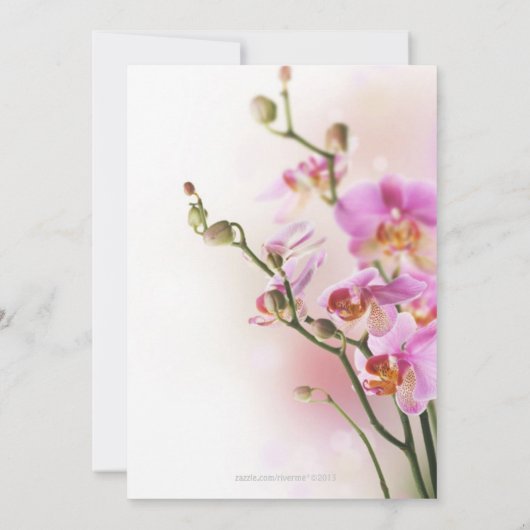Romantic Roze Orchideeën Uw Uitnodiging van de Geb (Achterkant)