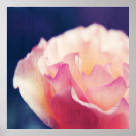 Romantic Roze Rose op Canvas Macro Abstract Poster