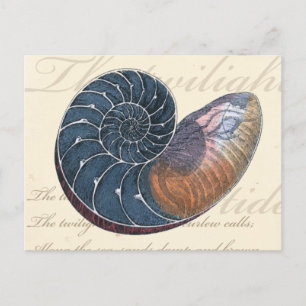 Romantic Seashell Briefkaart