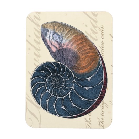 Romantic Seashell Magneet (Verticaal)