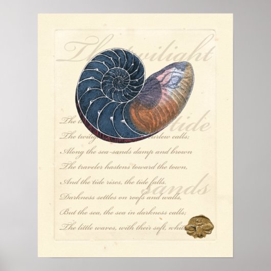 Romantic Seashell Poster (Voorkant)