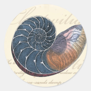 Romantic Seashell Ronde Sticker
