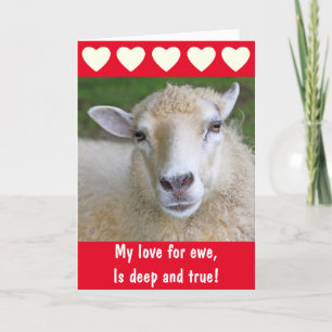 Romantic Sheep True Love Valentijnsdag Feestdagen Kaart