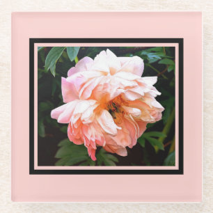 Romantic Spring Peony in Bleek strand Glazen Onderzetter