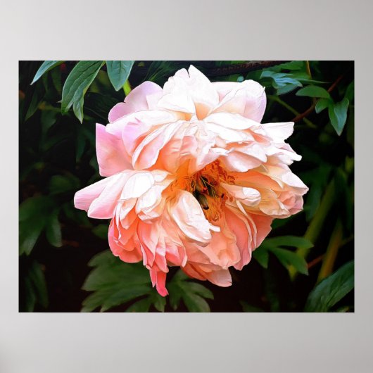 Romantic Spring Peony in Bleek strand Poster (Voorkant)