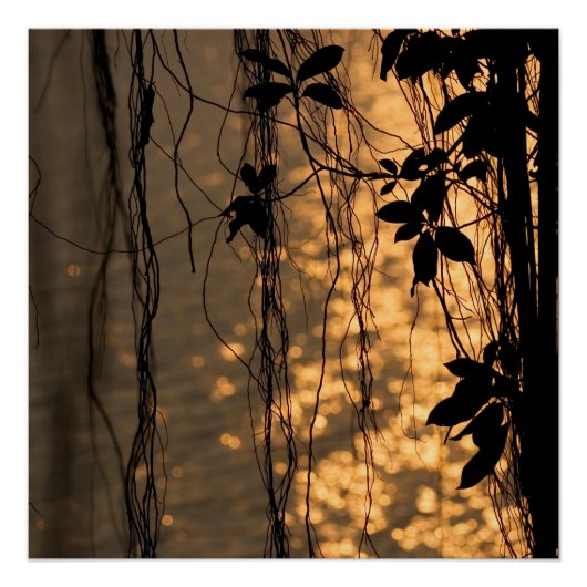 Romantic Sunset Poster Perfect Poster (Voorkant)