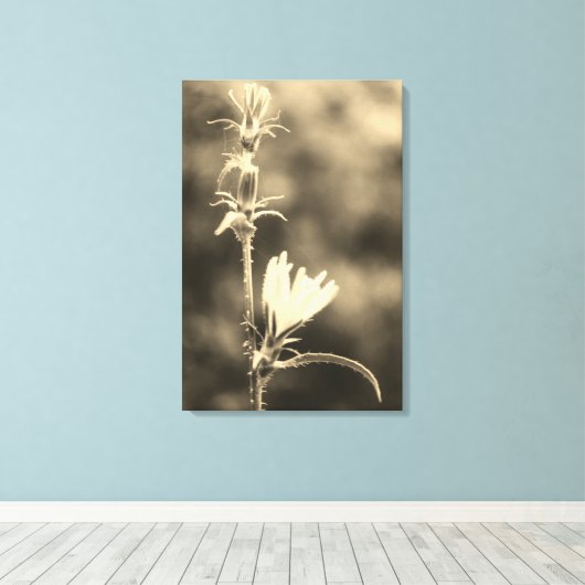 Romantic Trees & Flowers – Botanical Fantasy Boho  Canvas Afdruk (Insitu (Houten vloer))