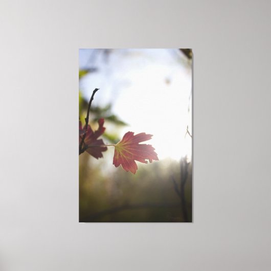 Romantic Trees & Flowers – Botanical Fantasy Boho Canvas Afdruk (Voorkant)