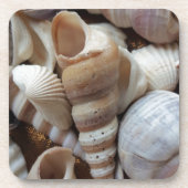 Romantic Tropical Exotic Sea Shells Beach Love Bier Onderzetter (Voorkant)