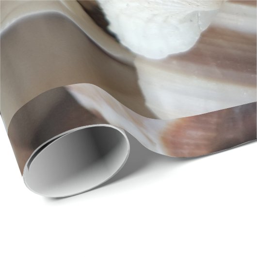 Romantic Tropical Exotic Sea Shells Beach Love Cadeaupapier (Rol Hoek)