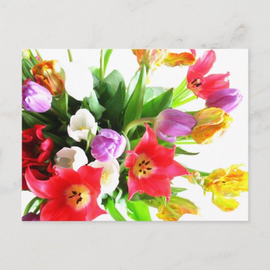 Romantic Tulip Flowers Briefkaart (Voorkant)