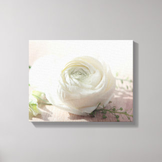 Romantic White Rose Canvas Afdruk