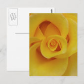 Romantic Yellow Rose Petals Briefkaart (Voorkant / Achterkant)